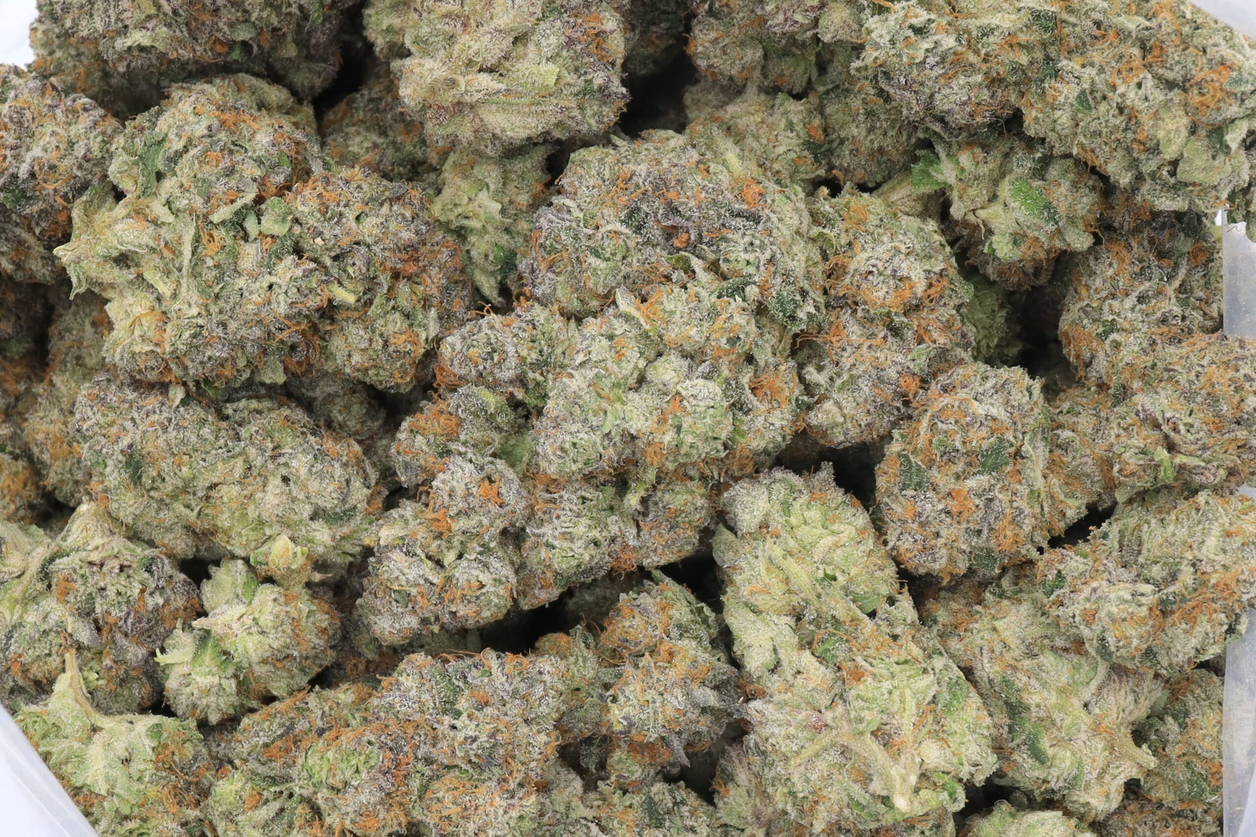 Grape Runtz Strain Flower - Hybrid Grape Runtz Strain Flower - Hybrid