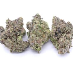 Grape Runtz Strain Flower - Hybrid Grape Runtz Strain Flower - Hybrid