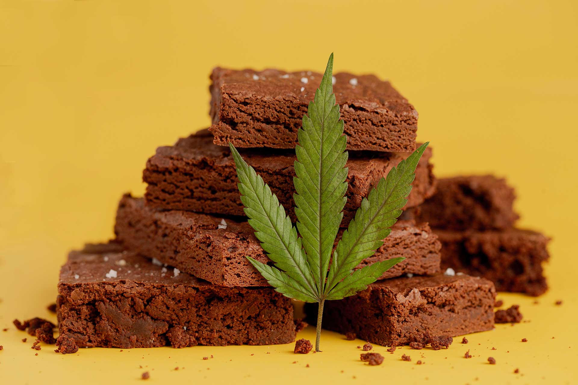 The Ultimate Guide to Weed Brownies, For Every 'Baked' Baker