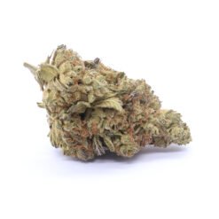 Kush Mint Strain Flower - Hybrid Kush Mint Strain Flower - Hybrid