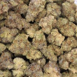 Kush Mint Strain Flower - Hybrid Kush Mint Strain Flower - Hybrid