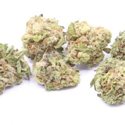 Kush Mint Strain Flower - Hybrid Kush Mint Strain Flower - Hybrid