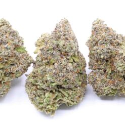 Malibu Mirage Strain Flower - Indica Dominant Hybrid Malibu Mirage Strain Flower - Indica Dominant Hybrid