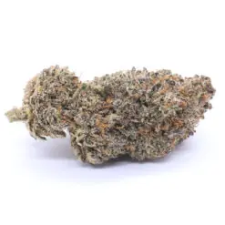 Malibu Mirage Strain Flower - Indica Dominant Hybrid