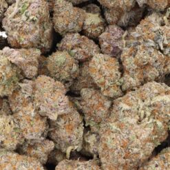 Orange Zkittlez Strain Flower - Hybrid Orange Zkittlez Strain Flower - Hybrid