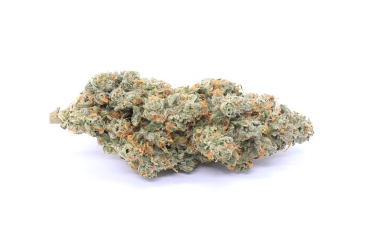 Pink Gorilla