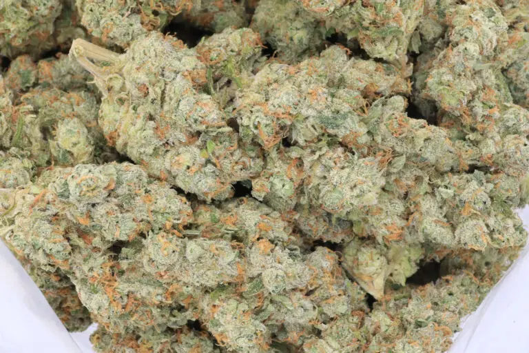 Pink Gorilla