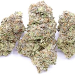 Pink Gorilla Strain Flower - Indica Dominant Hybrid Pink Gorilla Strain Flower - Indica Dominant Hybrid