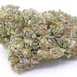 Pink Gorilla Strain Flower - Indica Dominant Hybrid Pink Gorilla Strain Flower - Indica Dominant Hybrid