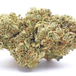 Powdered Donuts Strain Flower - Indica Dominant Hybrid