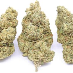 Powdered Donuts Strain Flower - Indica Dominant Hybrid Powdered Donuts Strain Flower - Indica Dominant Hybrid