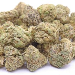 Purple Cookie Strain Flower - Hybrid Purple Cookie Strain Flower - Hybrid