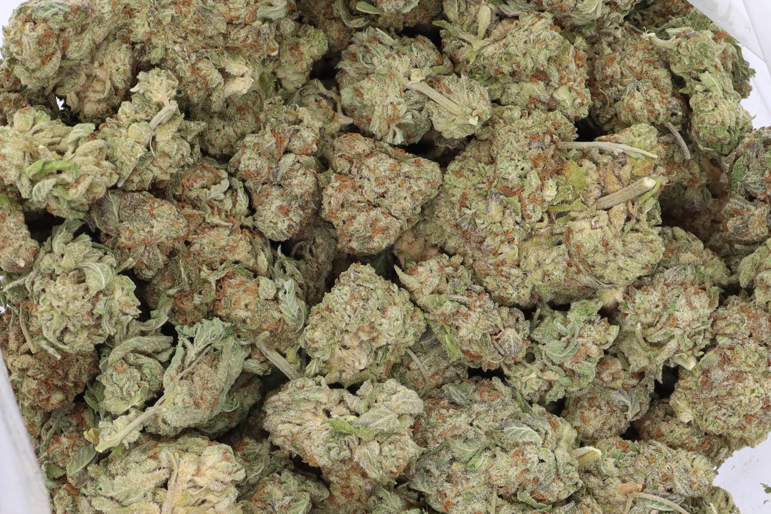 Purple Cookies Strain Flower - Hybrid Purple Cookies Strain Flower - Hybrid