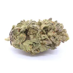 Purple Cookies Strain Flower - Hybrid Purple Cookies Strain Flower - Hybrid