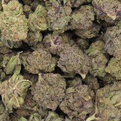 Purple Cookies Strain Flower - Hybrid Purple Cookies Strain Flower - Hybrid