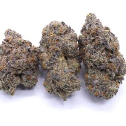 Tang Breath Strain Flower - Sativa Dominant Hybrid Tang Breath Strain Flower - Sativa Dominant Hybrid