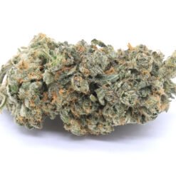 Grape Runtz Strain Flower - Hybrid