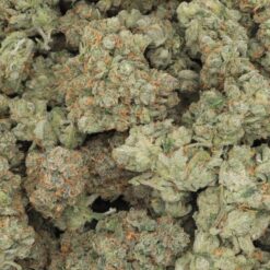 Grape Runtz Strain Flower - Hybrid Grape Runtz Strain Flower - Hybrid