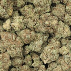 Tuna Kush Strain Flower - Indica Dominant Hybrid