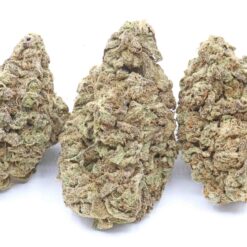 Duke Nukem Strain Flower - Sativa Dominant Hybrid