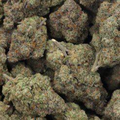 Grapefruit Strain Flower - Sativa Dominant Hybrid