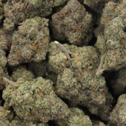 Grapefruit Strain Flower - Sativa Dominant Hybrid