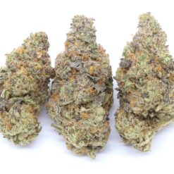 Grapefruit Strain Flower - Sativa Dominant Hybrid Grapefruit Strain Flower - Sativa Dominant Hybrid
