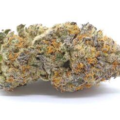 Grapefruit Strain Flower - Sativa Dominant Hybrid Grapefruit Strain Flower - Sativa Dominant Hybrid