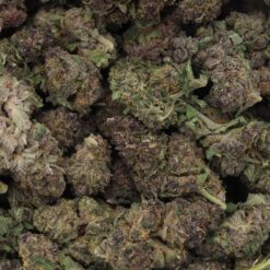 Guava Strain Flower - Sativa Dominant Hybrid Guava Strain Flower - Sativa Dominant Hybrid