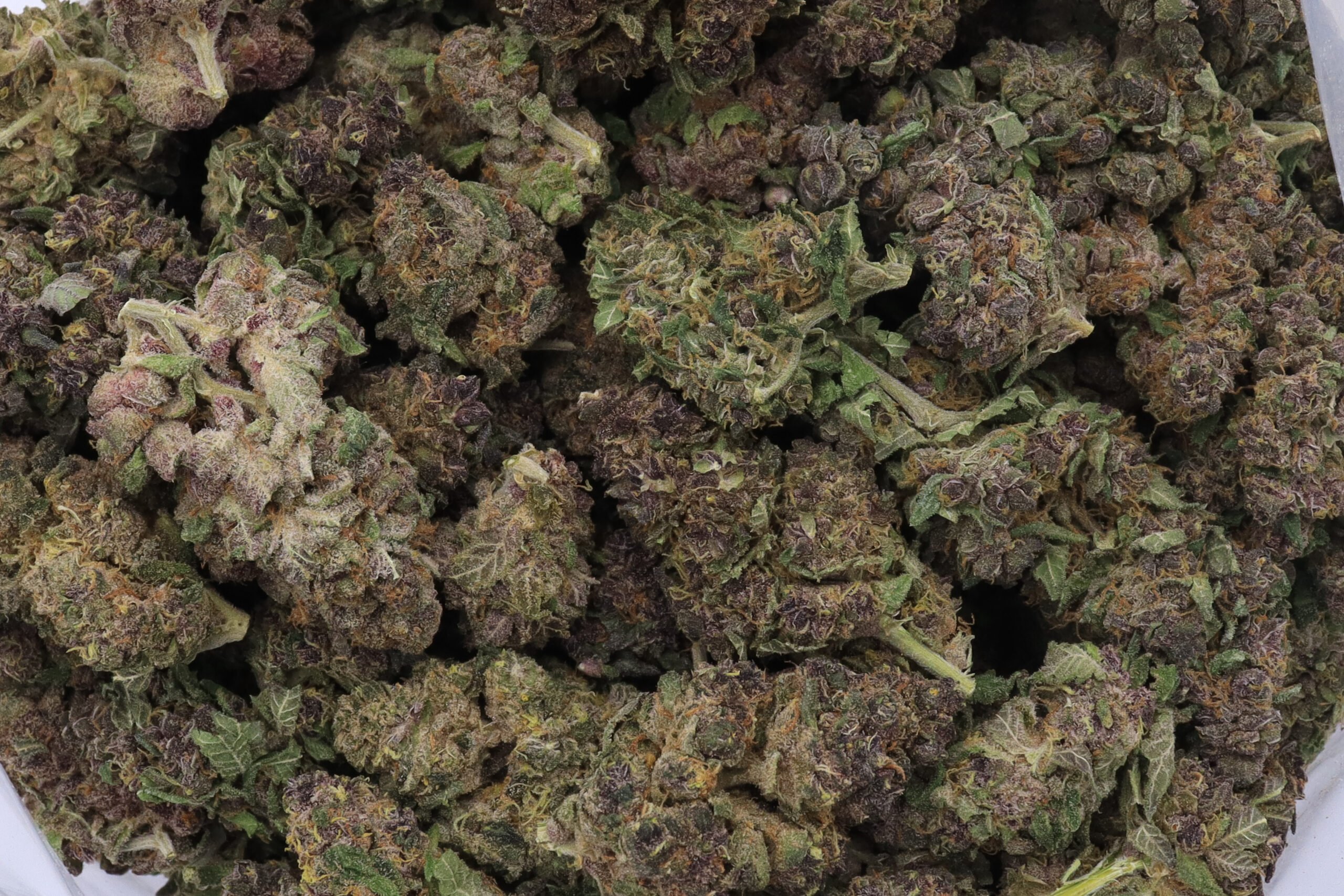 Guava Strain Flower - Sativa Dominant Hybrid Guava Strain Flower - Sativa Dominant Hybrid