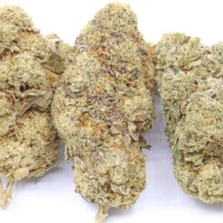 Guava Strain Flower - Sativa Dominant Hybrid Guava Strain Flower - Sativa Dominant Hybrid