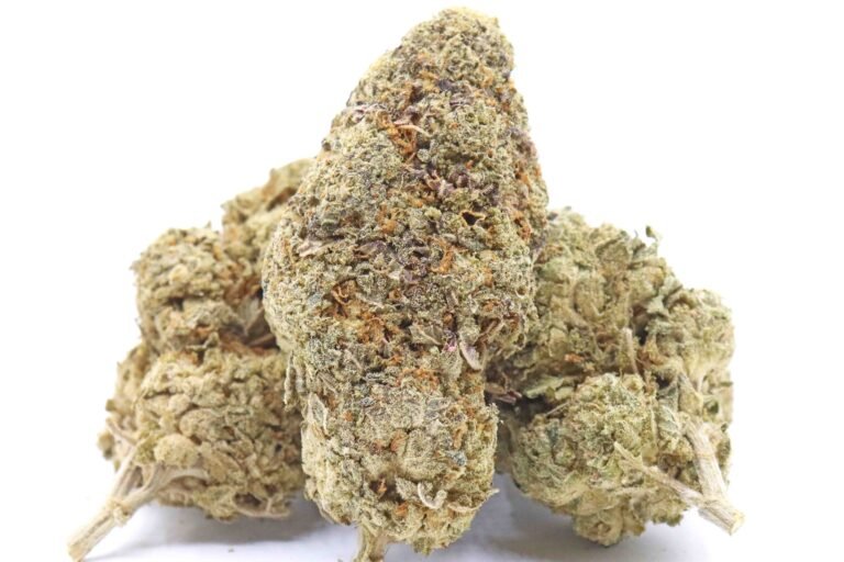 Guava