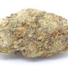 Guava Strain Flower - Sativa Dominant Hybrid Guava Strain Flower - Sativa Dominant Hybrid