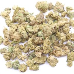 Mixed Small Buds Flower