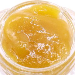 Purple Urkle Strain Live Resin - Indica Dominant Hybrid Purple Urkle Strain Live Resin - Indica Dominant Hybrid
