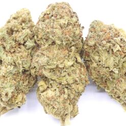 Skullcap Strain - Hybrid Flower Skullcap Strain - Hybrid Flower