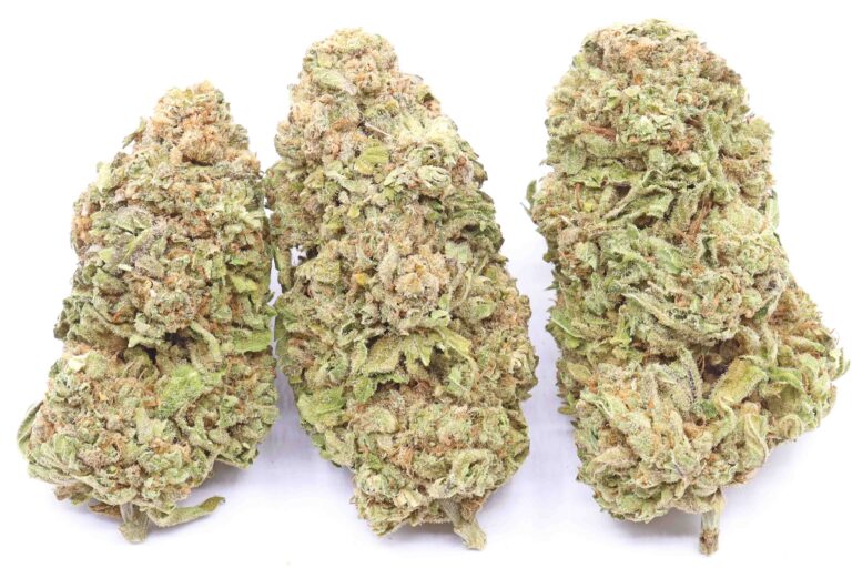 Super Lemon Haze