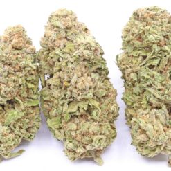 Super Lemon Haze Strain Flower - Sativa Dominant Hybrid Super Lemon Haze Strain Flower - Sativa Dominant Hybrid