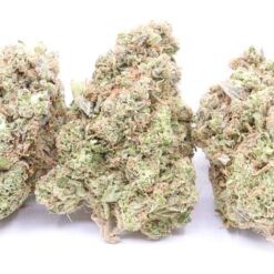 Lemonberry Strain Flower - Sativa Dominant Hybrid Lemonberry Strain Flower - Sativa Dominant Hybrid