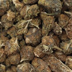 Pineapple Dream Strain Flower - Hybrid Pineapple Dream Strain Flower - Hybrid