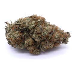 Pink Kush Strain Flower - Indica Dominant Hybrid Pink Kush Strain Flower - Indica Dominant Hybrid