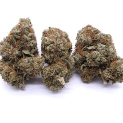 Pink Kush Strain Flower - Indica Dominant Hybrid Pink Kush Strain Flower - Indica Dominant Hybrid