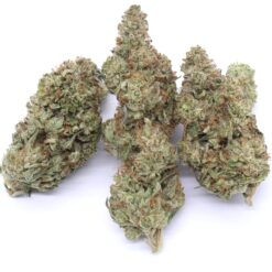Point Break Strain Flower - Indica Dominant Hybrid Point Break Strain Flower - Indica Dominant Hybrid