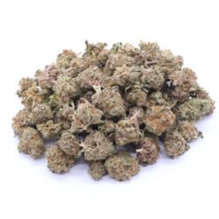 Sour Kush Strain Small Buds - Indica Dominant Hybrid