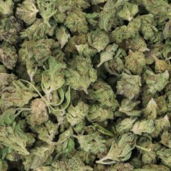 Verde Electric Strain Flower - Indica Dominant Hybrid Verde Electric Strain Flower - Indica Dominant Hybrid
