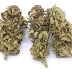 Verde Electric Strain Flower - Indica Dominant Hybrid Verde Electric Strain Flower - Indica Dominant Hybrid