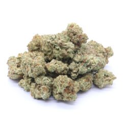 Wedding Pie Strain Small Buds - Indica Dominant Hybrid