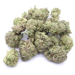 Wedding Pie Strain Small Buds - Indica Dominant Hybrid