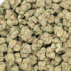 Wedding Pie Strain Small Buds - Indica Dominant Hybrid