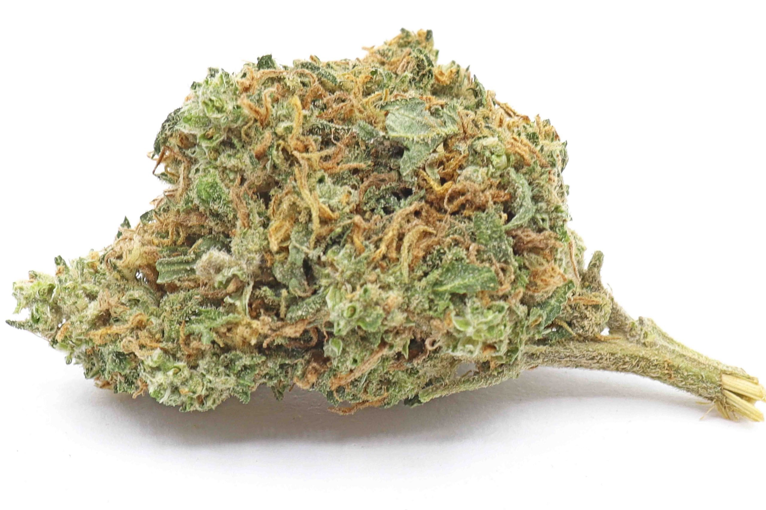 Apple Fritter Strain Flower - Hybrid